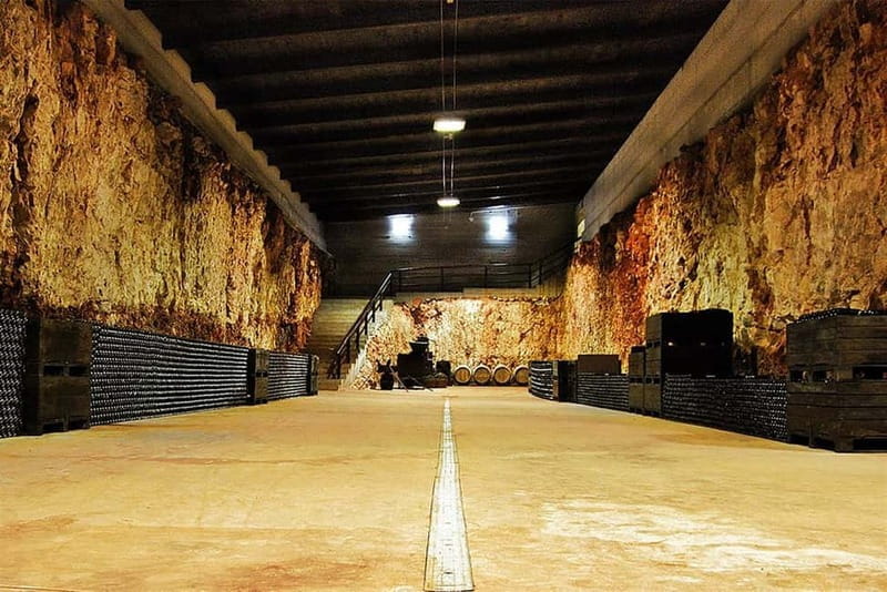 Gioia del Colle: E-Bike Tour through Vineyards & Wine - What You Need to Know Before You Book