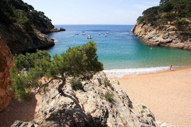 Girona & Costa Brava Small-Group Tour With Pickup From Barcelona - Customer Reviews