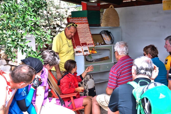 Give Bees a chance! - Key Points