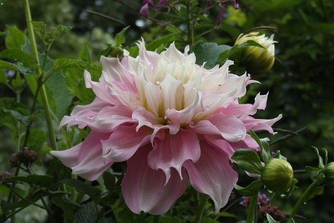 Giverny Monets House and Gardens Small-Group Tour Hotel Pick-up - Exploration of Monets Home