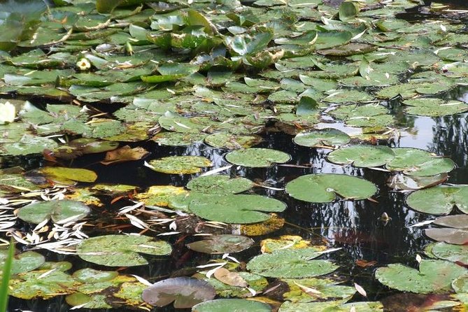 Giverny Monets House and Gardens Small-Group Tour Hotel Pick-up - Optional Museum Visit
