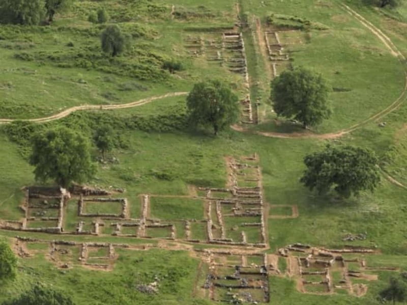 Gjirokastër: Antigonea Archaeological Park & Farm Meal - A Delightful Farm-to-Table Meal