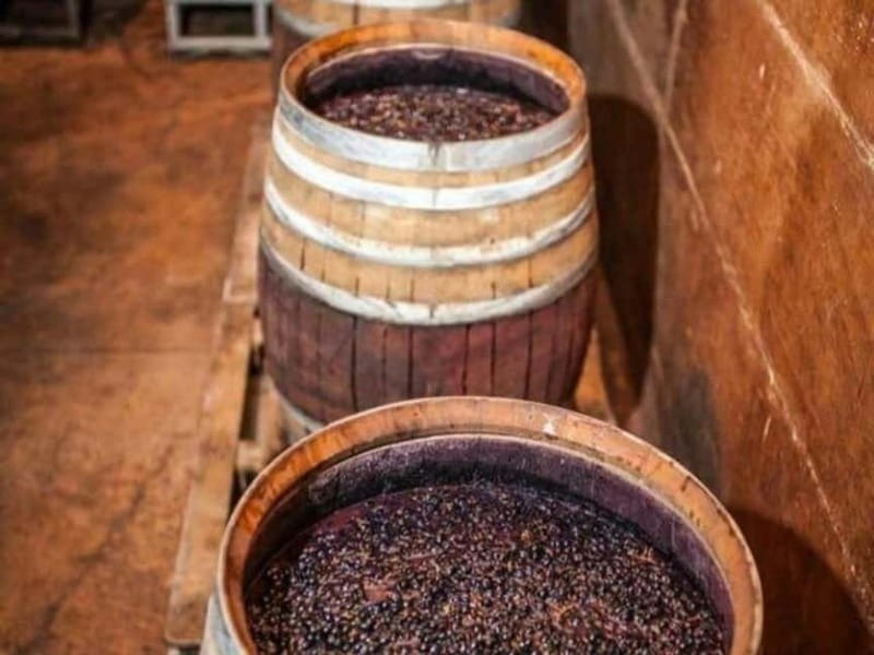 Gjirokastër: Antigonea Archaeological Park & Farm Meal - Practical Tips and Considerations