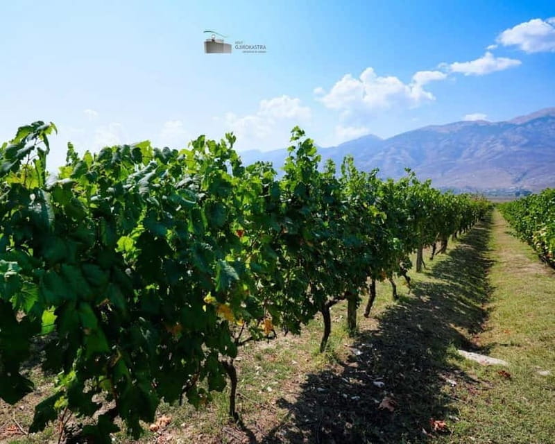 Gjirokaster: Vineyard, Wine Tasting & Farm-to-Table Dining - The Farm-to-Table Experience: Local Flavors in Every Bite