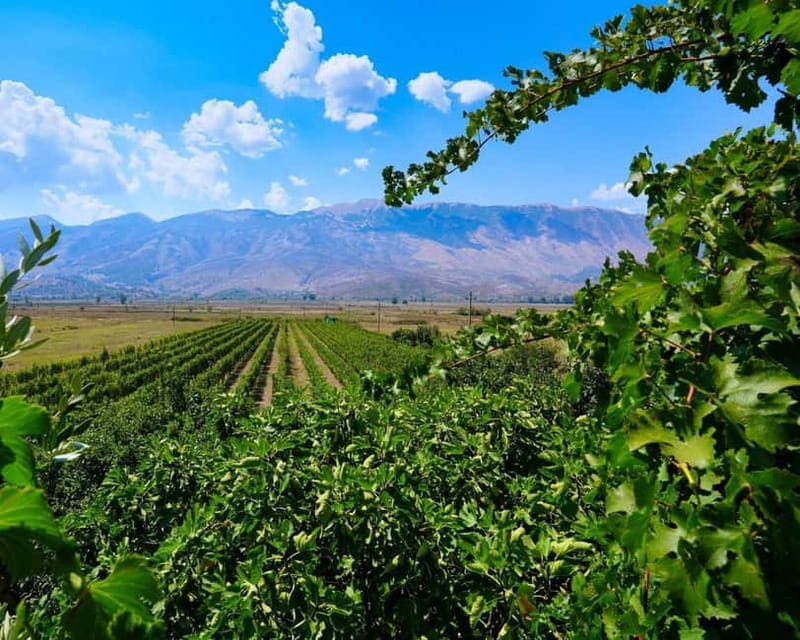 Gjirokaster: Vineyard, Wine Tasting & Farm-to-Table Dining - Why This Tour Is a Perfect Fit