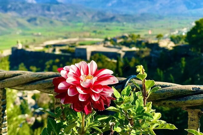 Gjirokastra, Full Day Trip from Tirana - Discovering Gjirokastra: An Immersive Journey into Albanian Heritage