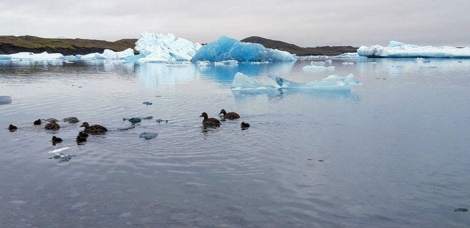 Glacier Lagoon and Diamond Beach Private Tour From Reykjavik - Diamond Beach Exploration