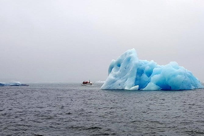 Glacier Lagoon & South Coast. Private Day Tour - The Value of the Experience