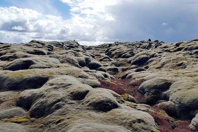Glacier Lagoon & South Coast. Private Day Tour - Final Thoughts