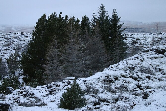 Glaciers and Aurora: Around Iceland in Winter - Viewing the Northern Lights