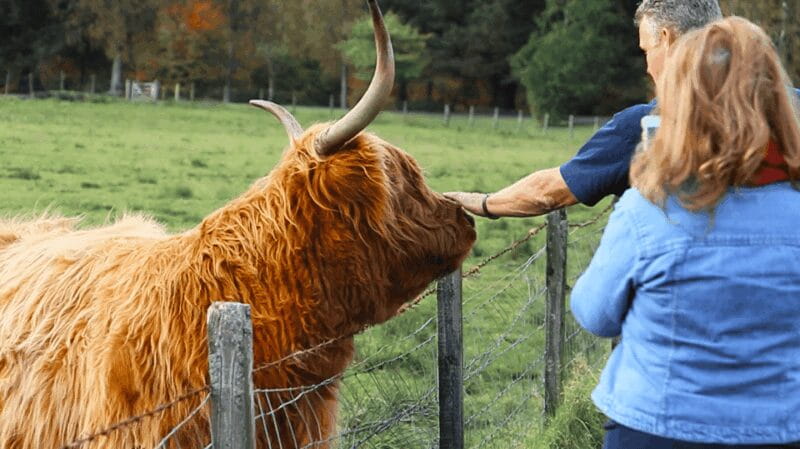 Glasgow: Loch Ness, Glen Coe, Hairy Coos & The Highlands - FAQ: Your Questions About the Loch Ness & Highlands Tour