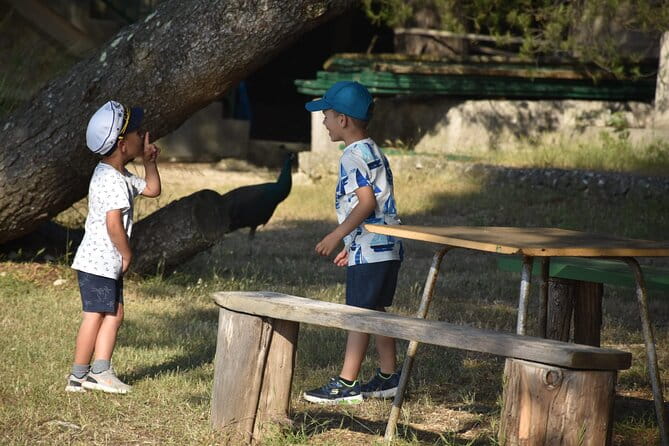 Glass boat tour Faana and panorama National Park Brijuni - FAQ: Your Questions Answered