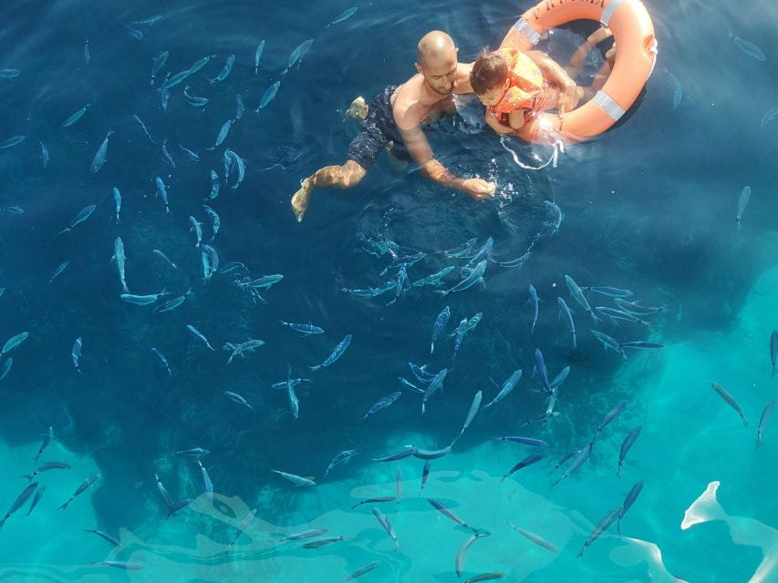 Glass Bottom Boat Trip/ 2 Hours/ Cultural Tour/ Swim Allowed - Highlights