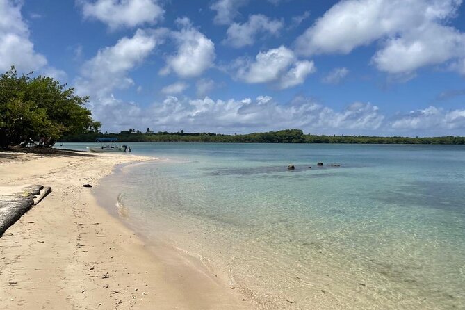 Glass Bottom Nylon Pool Tour in Buccoo Reef - Booking and Pickup Details