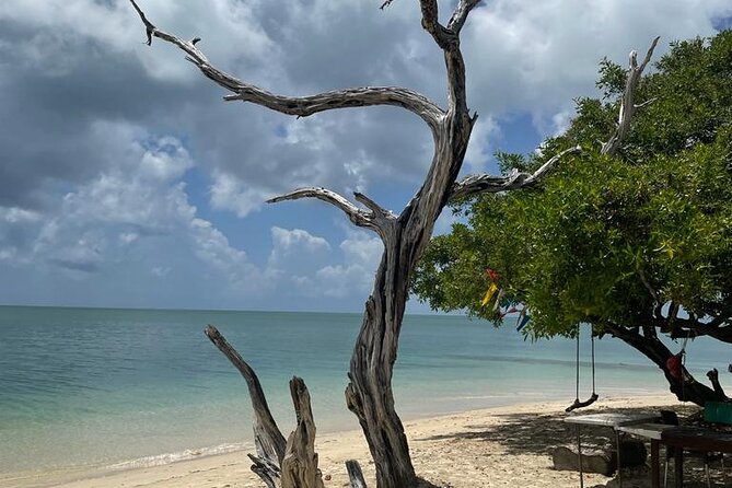 Glass Bottom Nylon Pool Tour in Buccoo Reef - Accessibility and Transportation