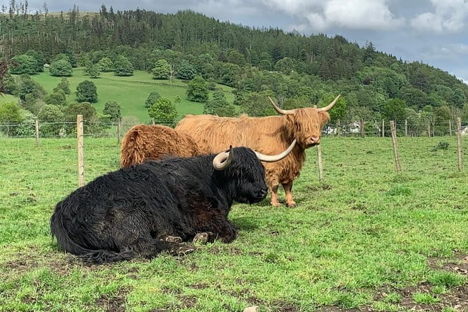 Glencoe, Central Highlands, Rob Roy, Whisky, Private Tour - A Detailed Journey Through The Scottish Highlands