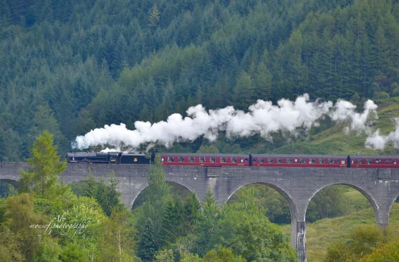 Glenfinnan: Glenaladale cruise, see the train and eagles 2hr - Who Should Book This Experience?