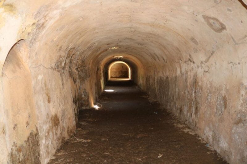 Gnatia Ruins and Archaeological Museum Private Guided Tour - Key points / Takeaways