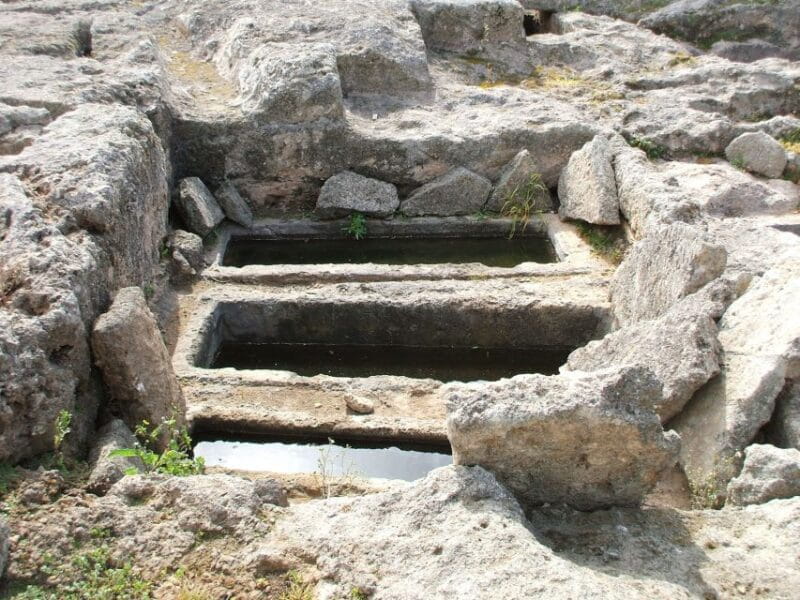 Gnatia Ruins and Archaeological Museum Private Guided Tour - Logistics and Practicalities