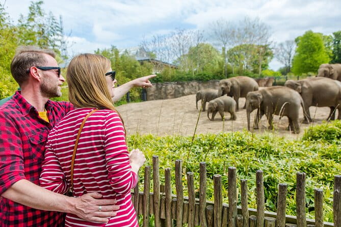 Go City: Dublin Explorer Pass - Choose 3, 4, 5 or 7 Attractions - Final thoughts