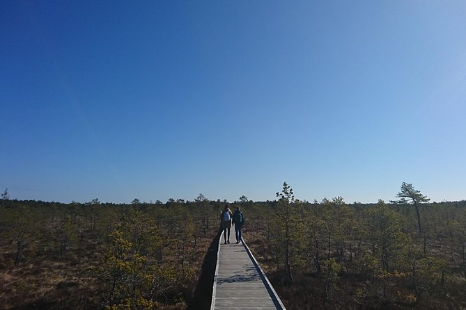 Go North – Private 1 Day Trip to Estonian Nature - Inclusions
