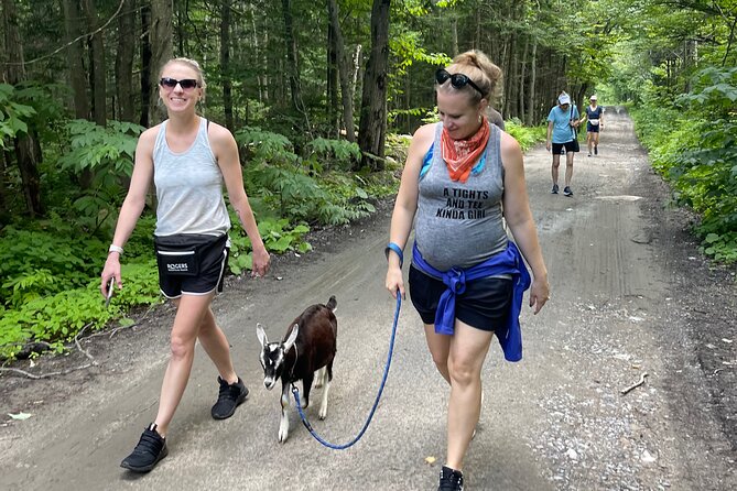 Goat Hiking, Beaver Dam Visit and Picnic in Quebec Forest - Inclusions for the Tour