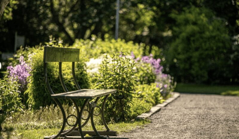 Godafoss Express Classy Round Trip Multiple Drop Off Choice - Authentic Experiences and Practical Insights