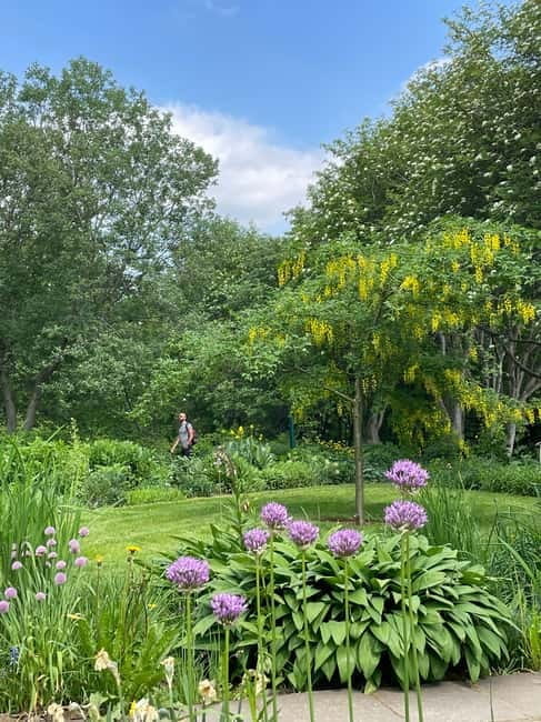 Godafoss, Laufás Museum & Akureyri Highlights Tour - Exploring Akureyri and Its Surroundings