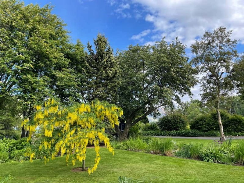 Godafoss, Laufás Museum & Akureyri Highlights Tour - Price and Logistics