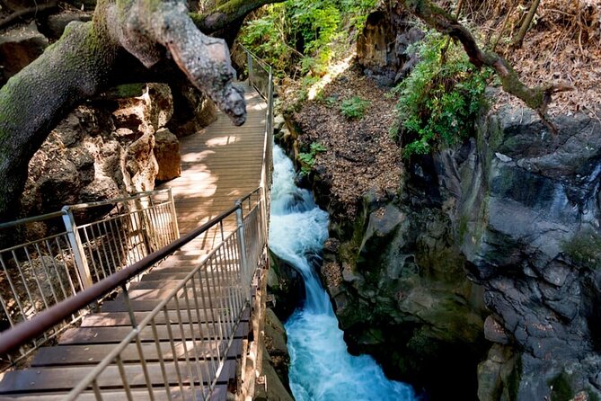 Golan Heights Day Trip From Jerusalem - Tour Duration and Schedule