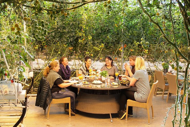 Golden Circle, Fridheimar Farm & Horses Small Group Tour From Reykjavik - Itinerary of the Tour