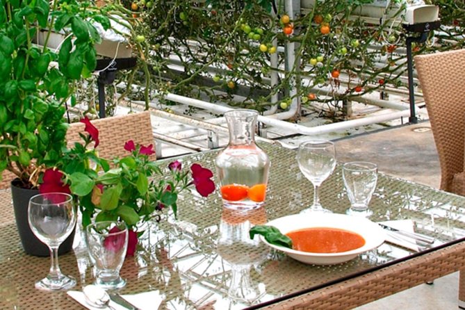 Golden Circle, Secret Lagoon and Tomato Greenhouse Lunch Tour - Requirements and Restrictions