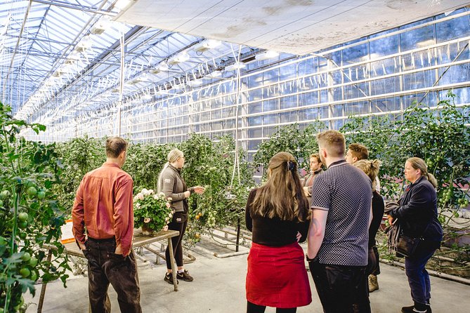 Golden Circle, Secret Lagoon and Tomato Greenhouse Lunch Tour - Geysir and Gullfoss