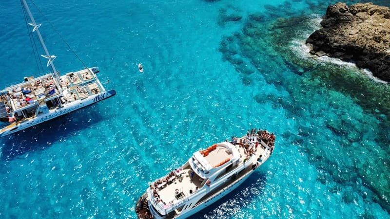 Golden Coast: 2.5-Hour Mermaid Adventure Cruise for Families - Who This Cruise Is Best For