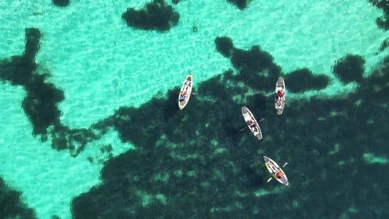 Golfo Aranci: Dolphin Watching Kayaking Tour with Aperitif - The Practicalities: What You Need to Know