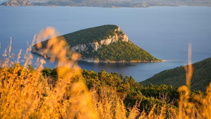 Golfo Aranci: Guided panoramic hike with aperitif and photos - FAQ about the Golfo Aranci Guided Hike