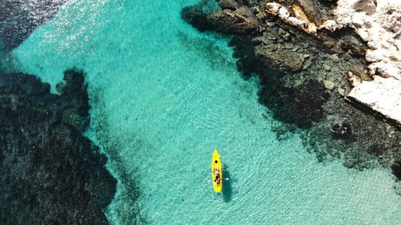 Golfo Aranci: Small group Kayak tour with Aperitif &dolphins - Exploring Sardinia from a Kayak: An Honest Review of Golfo Aranci’s Small Group Tour