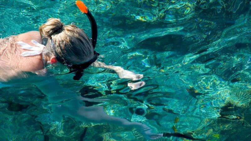 Golfo Aranci: snorkelling in Cala Moresca - Authentic Experience with Eco-Conscious Focus