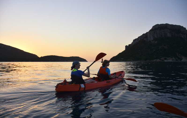 Golfo Aranci: Sunrise Dolphin Kayak Tour with Breakfast - An honest look at the experience: what to expect and why it matters