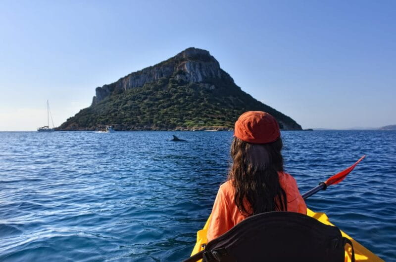 Golfo Aranci: Sunrise Dolphin Kayak Tour with Breakfast - The experience in detail: a step-by-step of what youll do