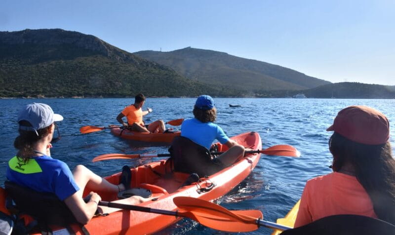 Golfo Aranci: Sunrise Dolphin Kayak Tour with Breakfast - Final thoughts: is it worth it?