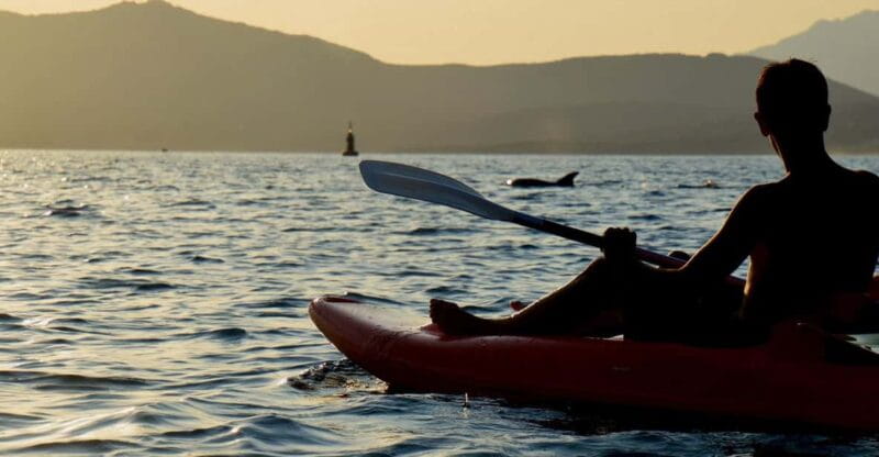 Golfo Aranci: Sunset Dolphin Kayak Tour with Aperitif - Key points / Takeaways