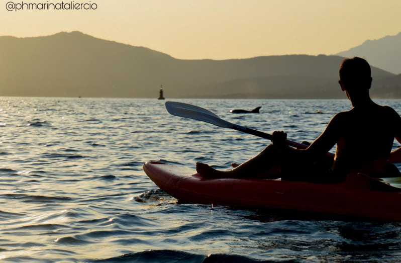 Golfo Aranci: Sunset Dolphin Kayak Tour with Aperitif - Exploring Sardinia’s Coastline from a Kayak: A Detailed Look