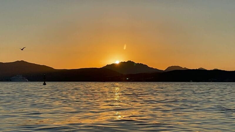 Golfo Aranci: Sunset Dolphin Kayak Tour with Aperitif - Authenticity and Local Flavor at Its Best