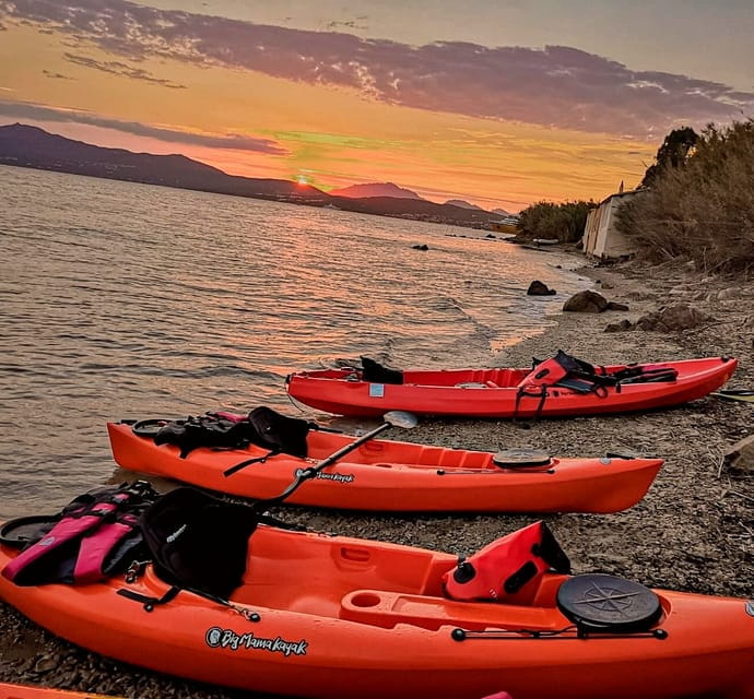 Golfo Aranci: Sunset Dolphin Kayak Tour with Aperitif - FAQ
