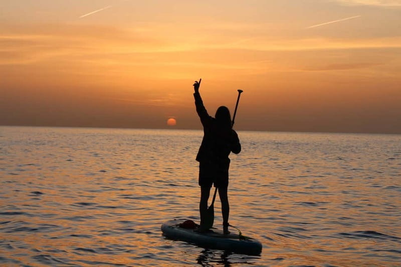 Golfo Aranci: Sup with dolphins, aperitif & photo shoot - Discovering Golfo Aranci’s Hidden Treasures with a SUP and Dolphin Watch
