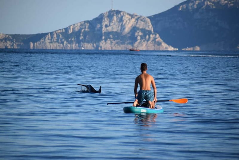 Golfo Aranci: Sup with dolphins, aperitif & photo shoot - Key Points and Takeaways
