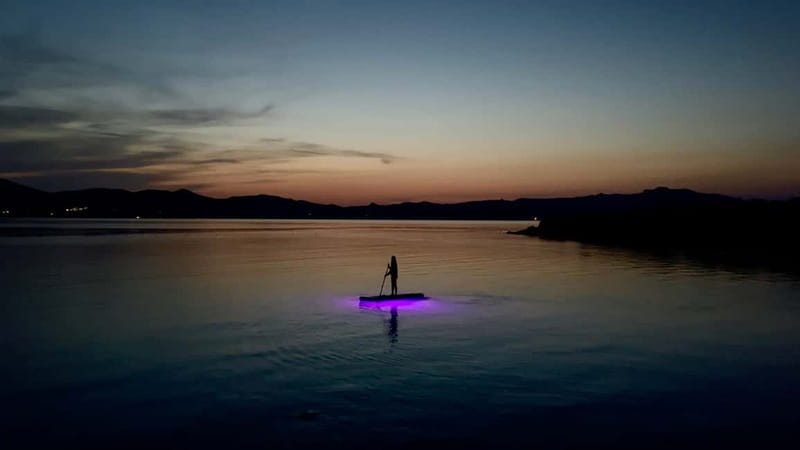 Golfo Aranci, Sup with Dolphins under the Stars - Key Points / Takeaways