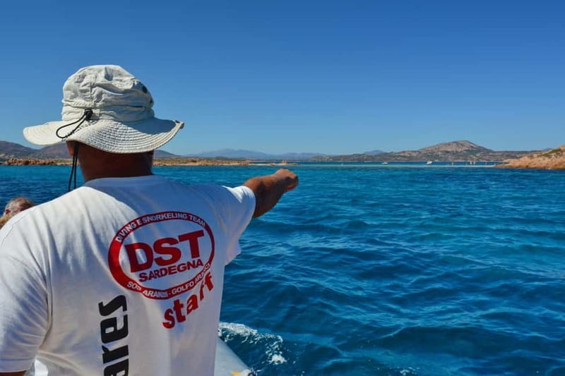 Golfo Aranci: Tavolara and Molara Snorkeling Dinghy Tour - Who Would Love This Tour?