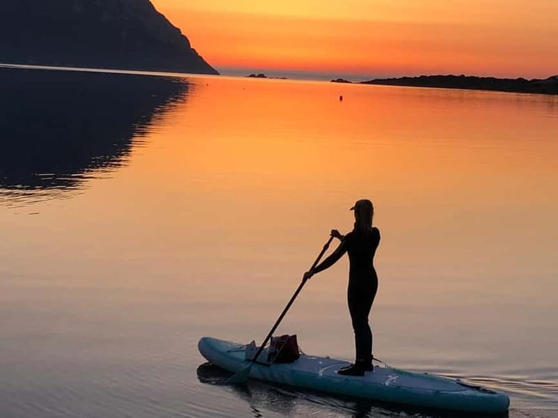 Golfo Aranci tour SUP Paddleboard Dolphin watching, aperitif - Final Words